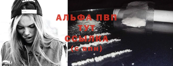 герыч Пересвет