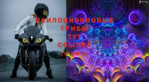 мяу мяу мука Абдулино