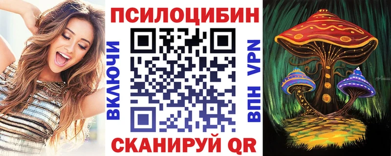 OMG ССЫЛКА  Углегорск  Псилоцибиновые грибы мицелий 